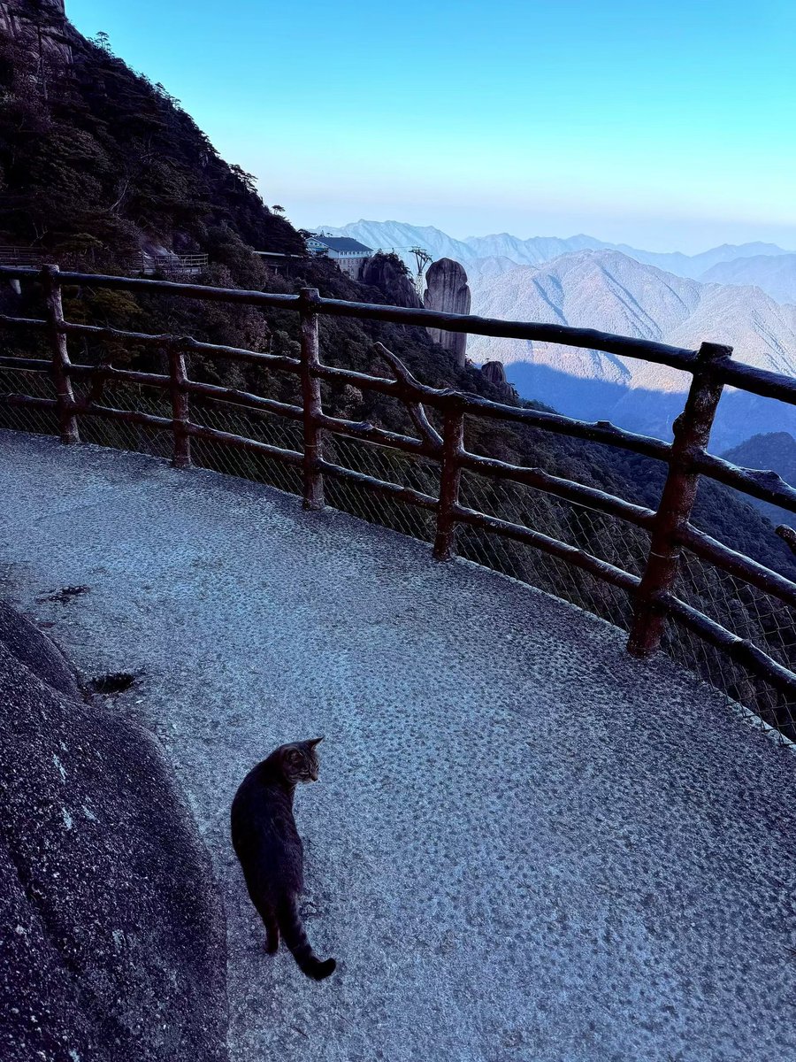 ZAFIRANASI's tweet photo. 人+山=仙 https://t.co/hUxQFVJXy9