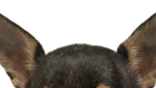 SpinBingBing's tweet image. click the post