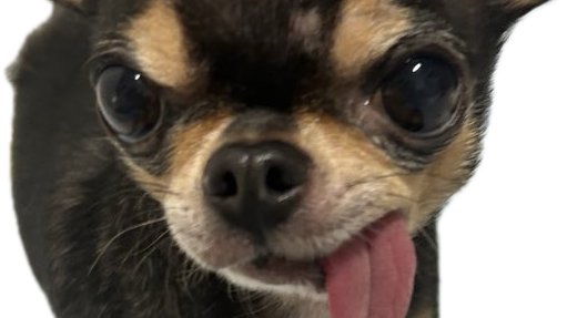 SpinBingBing's tweet image. click the post