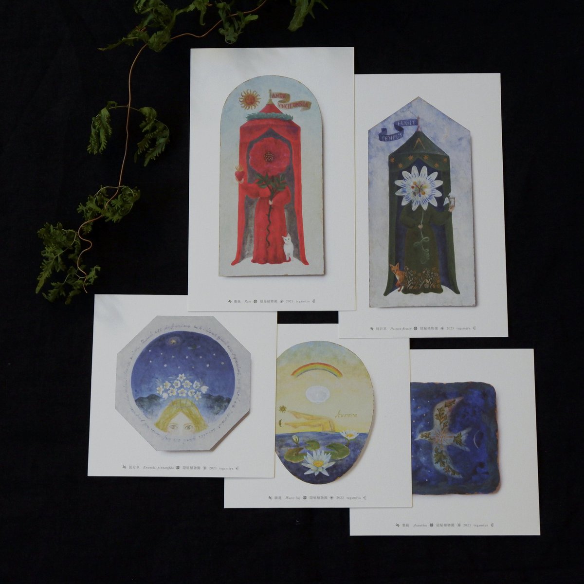 tegamiya_zakka's tweet image. 【#隠秘植物園 ガイドブック】
「隠秘植物園　カードセット」（別売、画像2〜3枚目。こちらも会場にて販売します）に収録の5枚の作品について解説する「隠秘植物園　ガイドブック」を新たにつくりました。
前回の会にて絵の解説がほしいとのお声をいただきご用意したものです。