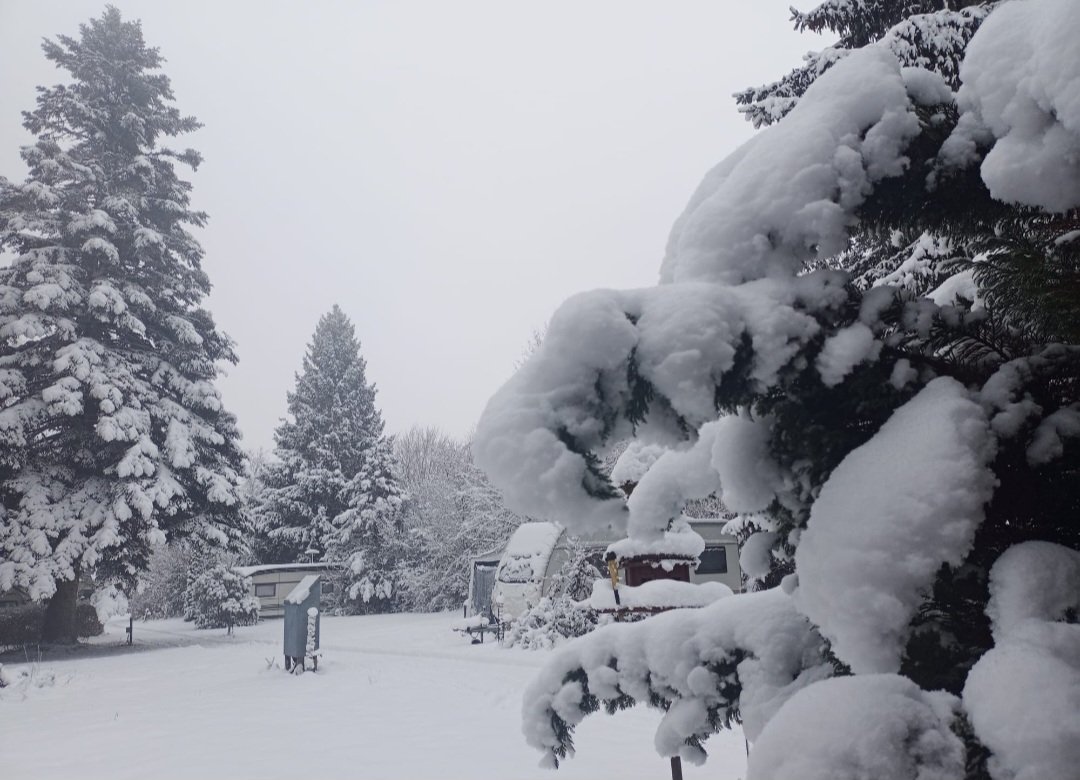 GM ❄️☕️
Have a Blessed day &amp; a Great Week ahead ✨️🍀🌺🫶🏽😘

"Focus on what lights a fire inside of you and use that passion to fill a white space. Don't be afraid of the challenges, the missteps, and the setbacks along the way. What matters is that you keep going."
Kendra Scott