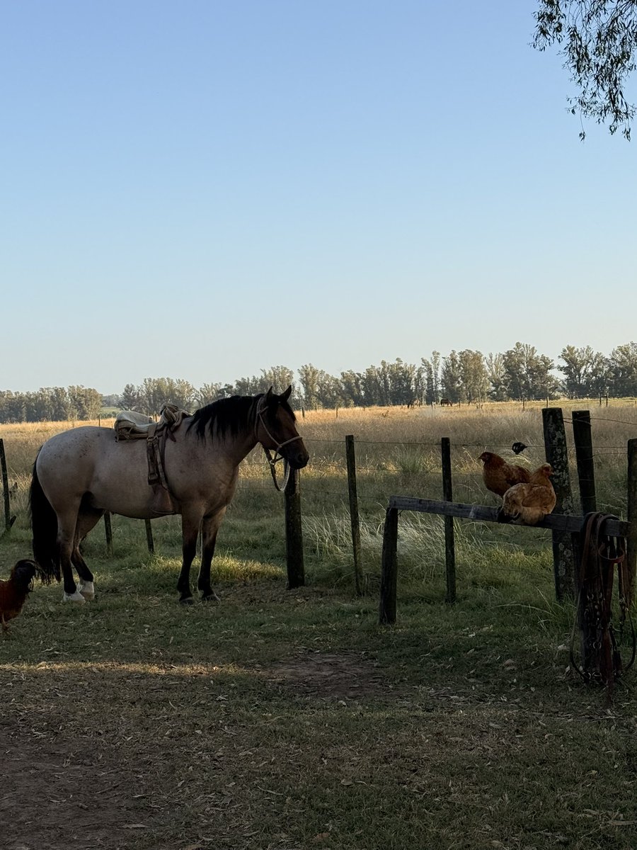 Labitori's tweet image. Así esta mañana.