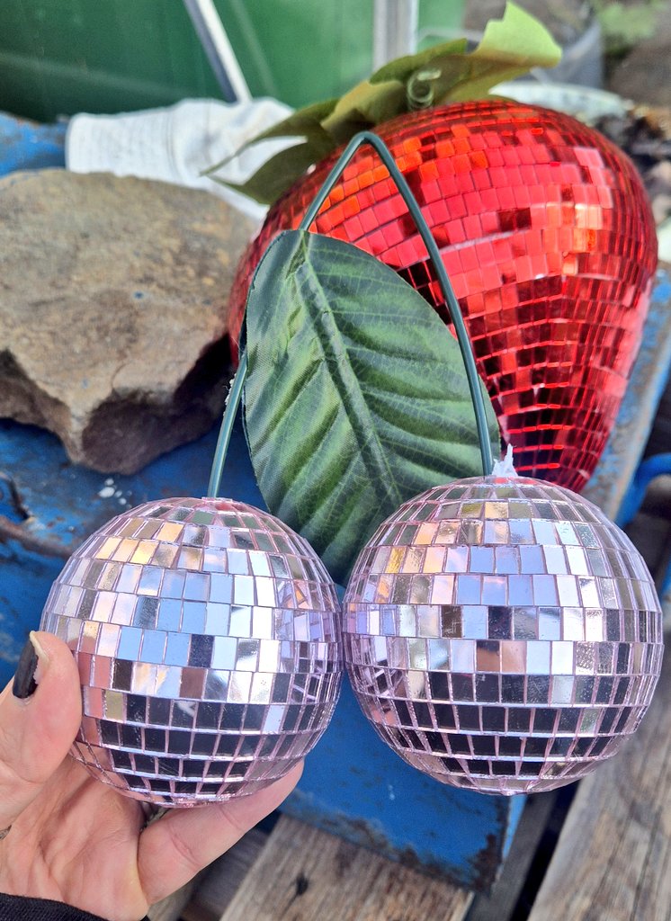 🌱Lovely_Plot 💅🇵🇱🇬🇧🪷🐞🐝 tweet media