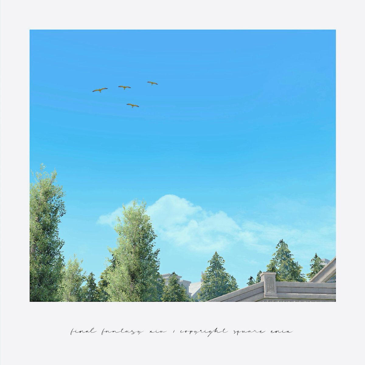 𝘙𝘶𝘦𓆸 tweet media