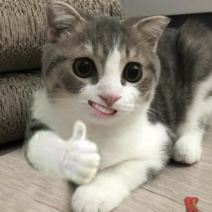 mnxmx2's tweet image. เหมือนกันเด๊ะ 

#JeleChewyBerryDayxZNN
❥ @CwrNew #NuNew  ꪆৎ