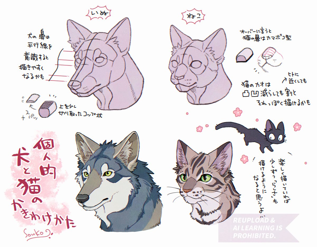 16/20  個人的な犬と猫の描き分け方🐕🐈‍⬛ 