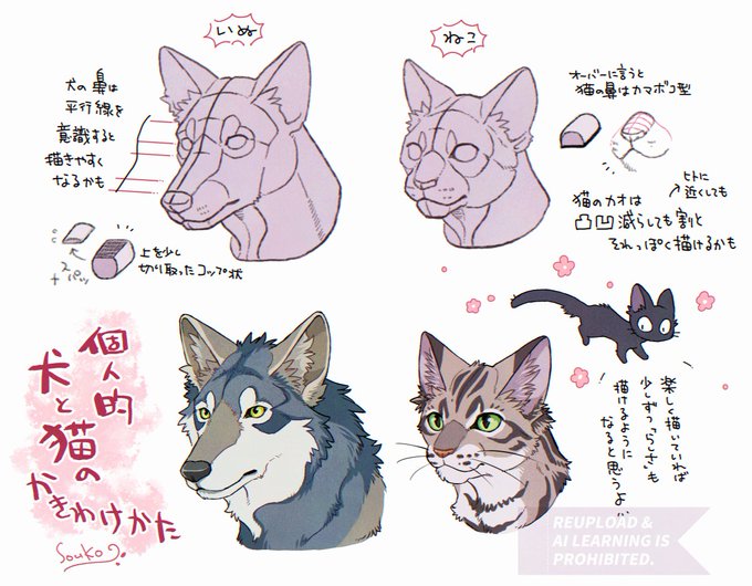 16/20  個人的な犬と猫の描き分け方🐕🐈‍⬛ 