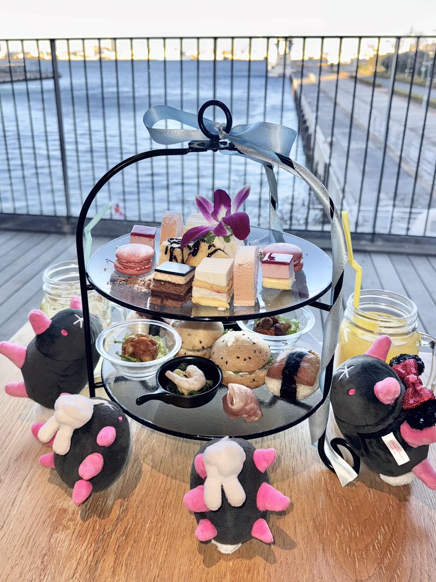 かな🌵 (@kn__929) / Posts / X