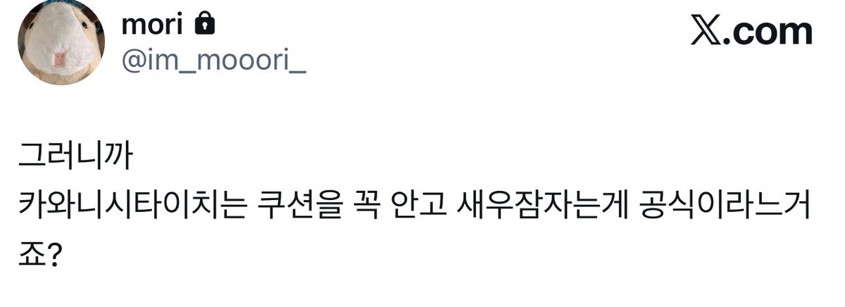 모리 (@im_mooori) on Twitter photo 
