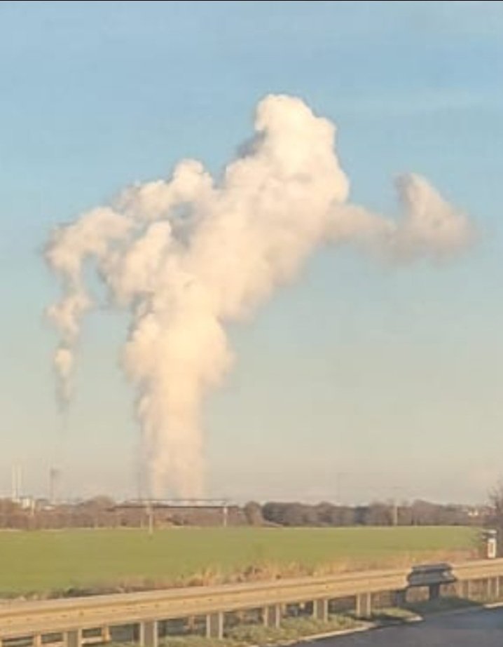 Cruiskeen Lawnmower↙️ tweet media