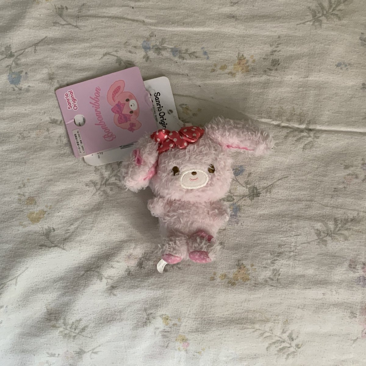 jamglimpse's tweet image. 1 𓈒  bonbon ไม่มีห่วงหัวใจ 150 b
2 𓈒 babytee dalmatians 130 b
      อก 28-32 , ยาว 16.5
3 𓈒 benabaker size : s สีขาว 400 b
4 𓈒 beming size : m สีน้ำตาล 300 b

𓈒 free shipping 🪽 สนใจจริง ๆ ค่อยทักคับ

#ส่งต่อเสื้อผ้า #โล๊ะตู้เสื้อผ้า #ตลาดนัดsanrio #bemingbkk #cintage