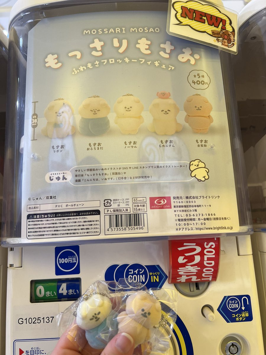 おちび (@shio_5150) / Posts / X