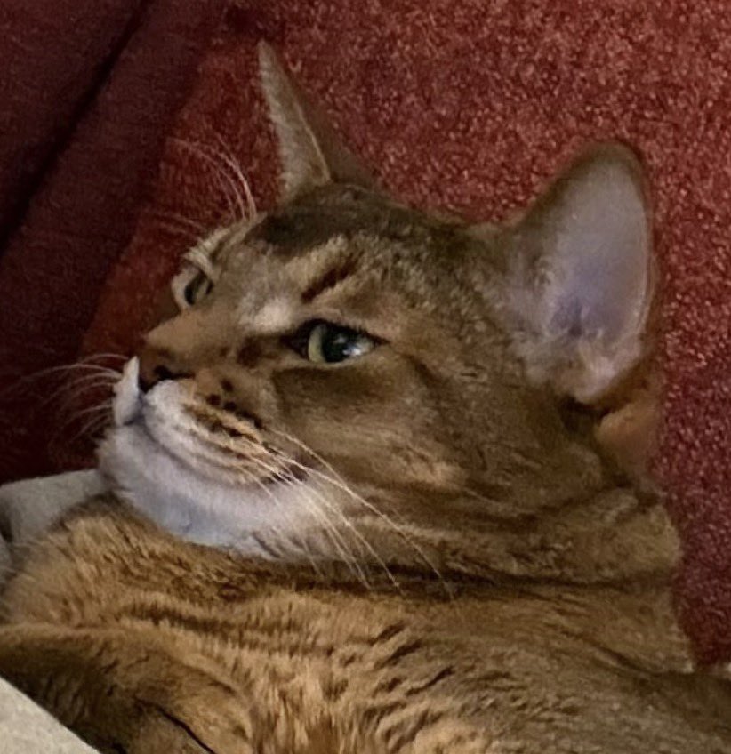 555555555555555555555555555555555555555555555555555555555555 ขำอะไรไม่รู้แต่ขำ