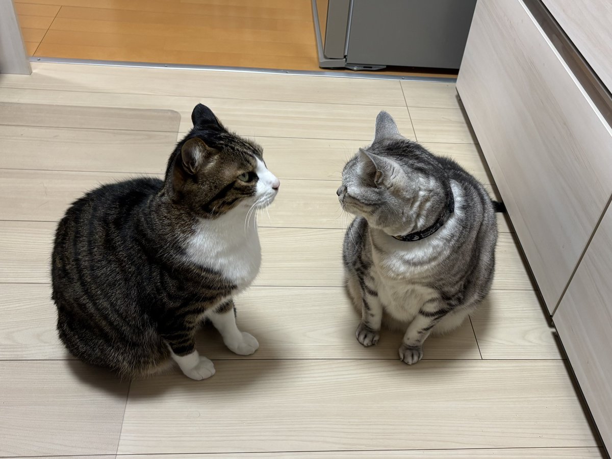 みふゆ(三冬) (@mifuyu_916) / Posts / X