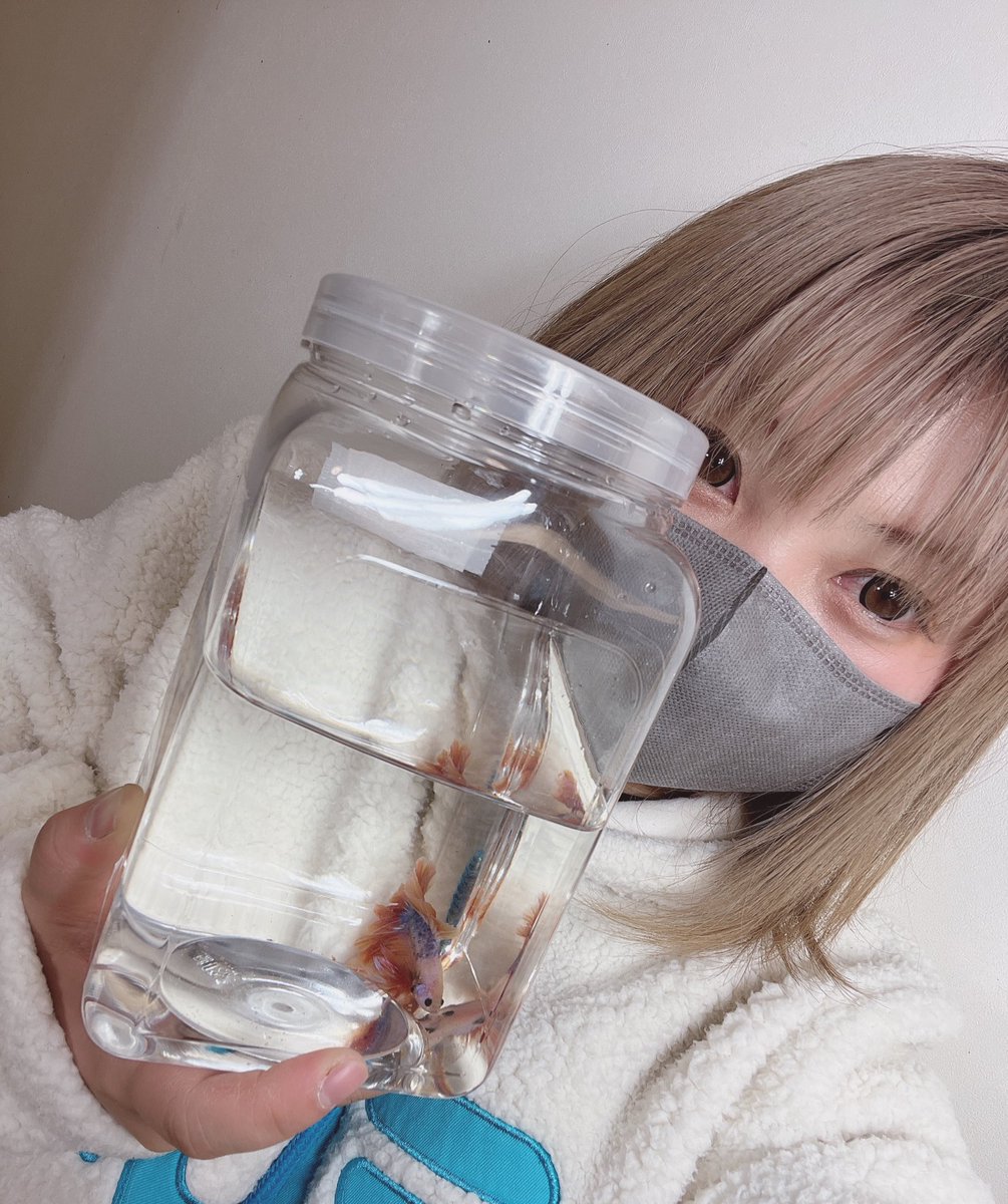 ヒグマリン tweet media