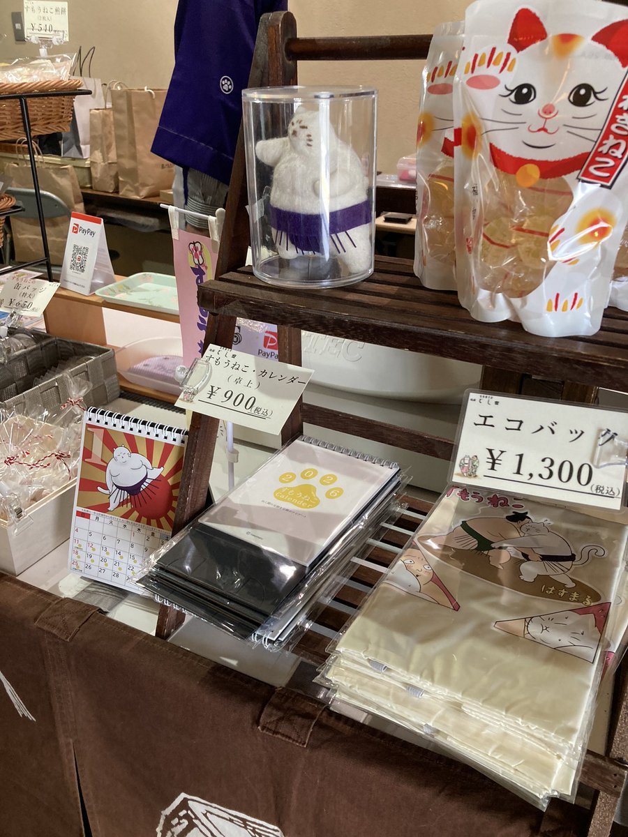 すもうねこ tweet media