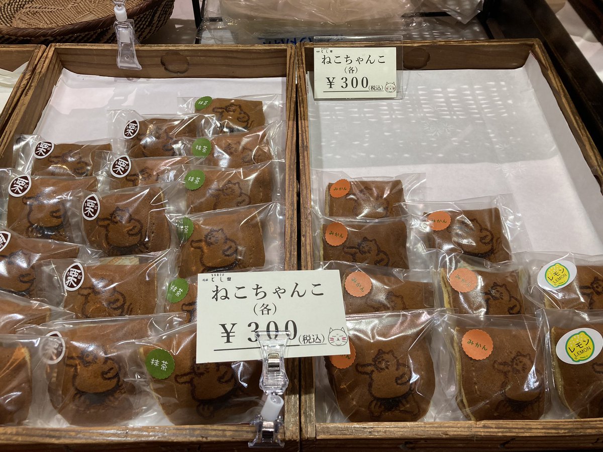すもうねこ tweet media