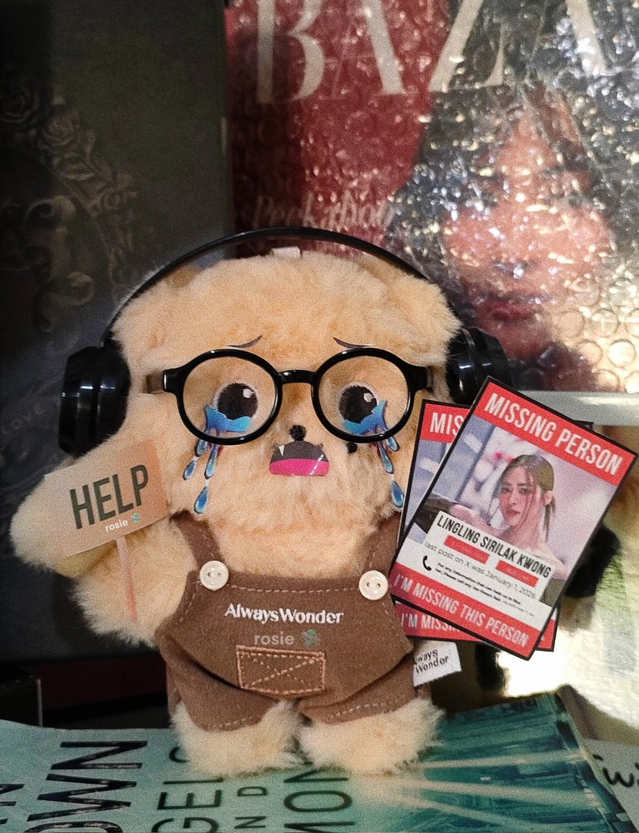 00k_Ormorm's tweet image. Pls help My goldie spread this poster and find lingy
we won't surviving this drought. 

We miss you @.linglingsirilak  ૮₍•᎔•₎ა
#linglingkwong