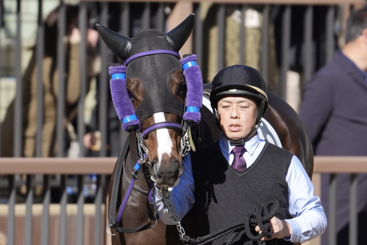 馬のくら 2026/01/11 中山5R 3歳新馬戦 サクラピアチェーレ & 大野拓弥J (モズ
