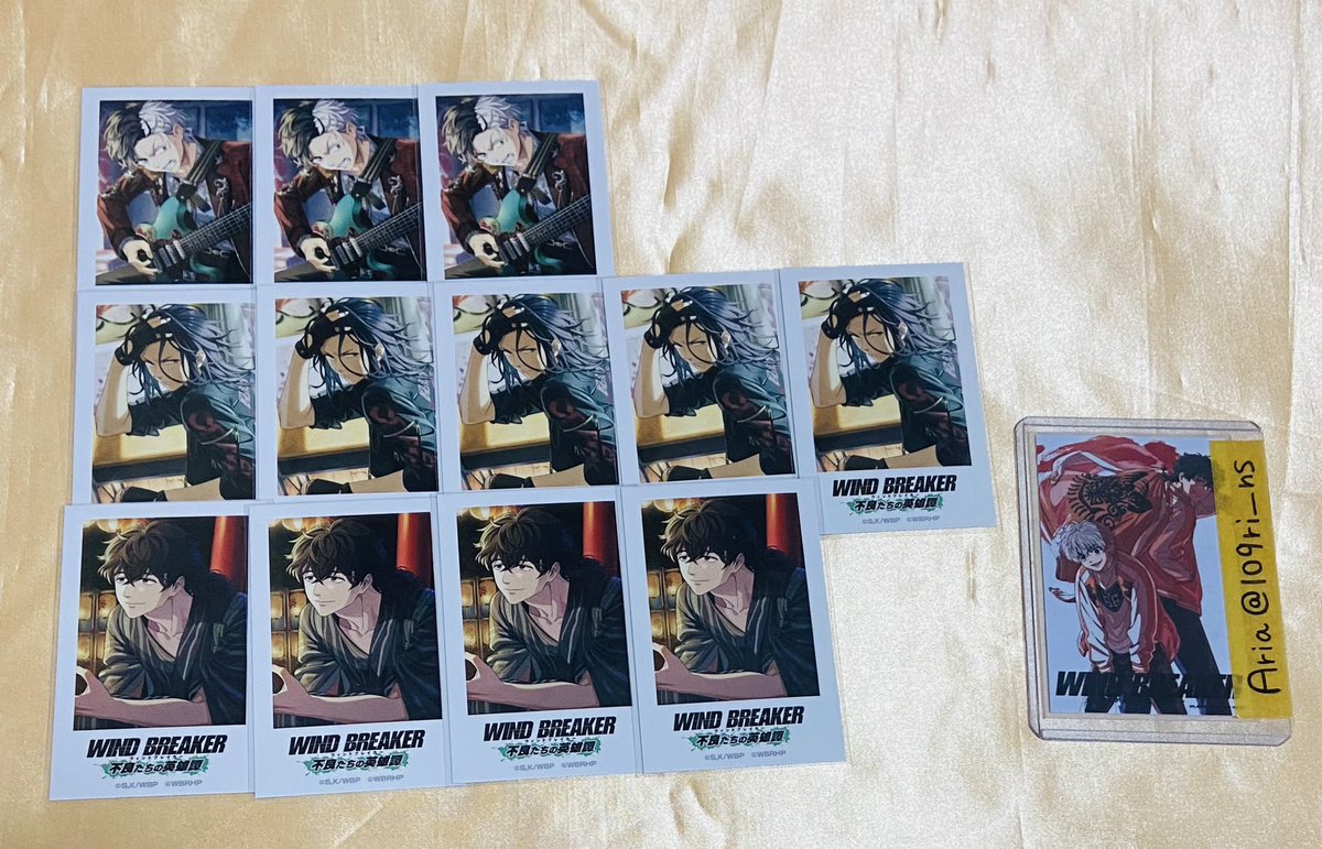 交換・譲渡】WIND BREAKER ウィンブレ ウィンヒロ コミケ フォト風