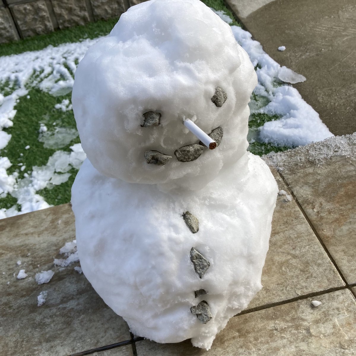 Shichidazoo's tweet photo. イキリ雪だるま ｻﾑ､ https://t.co/mK3i4puN6S
