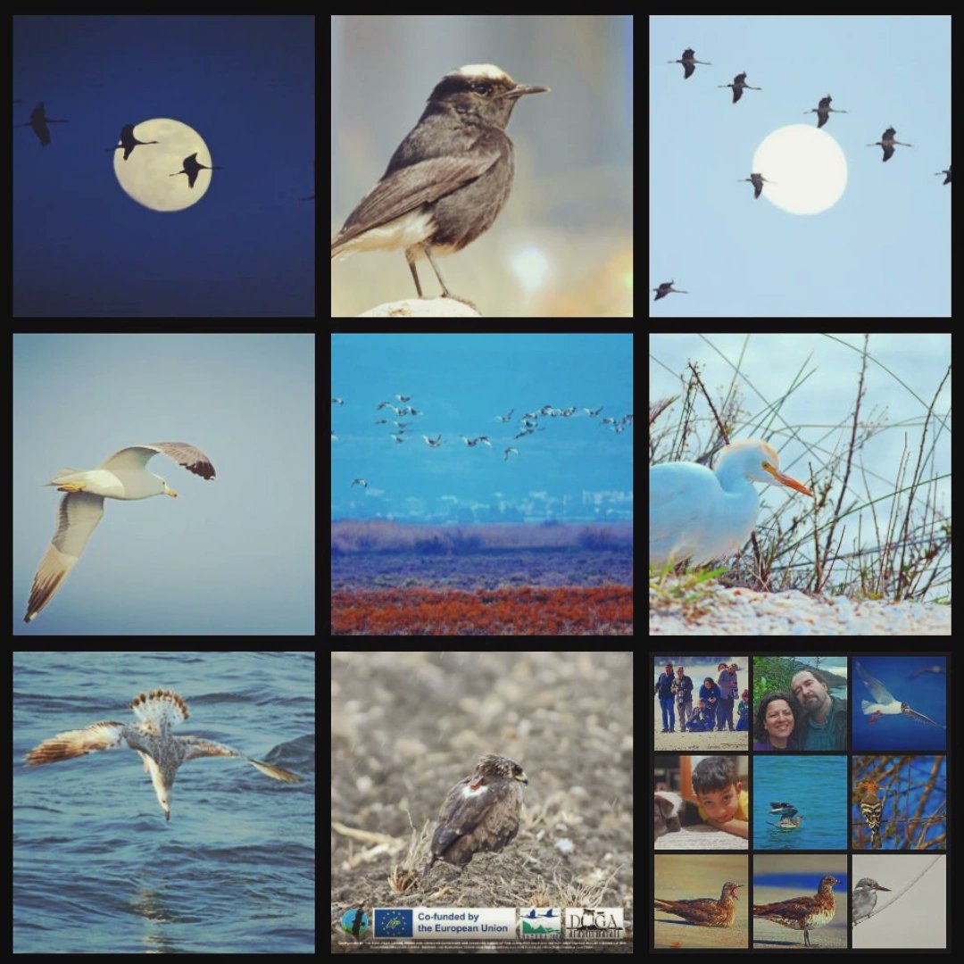 OzgunSozuer's tweet photo. https://t.co/AmCcTaMir6
#birdsandbirds
#topnine https://t.co/svdy6FTMA9