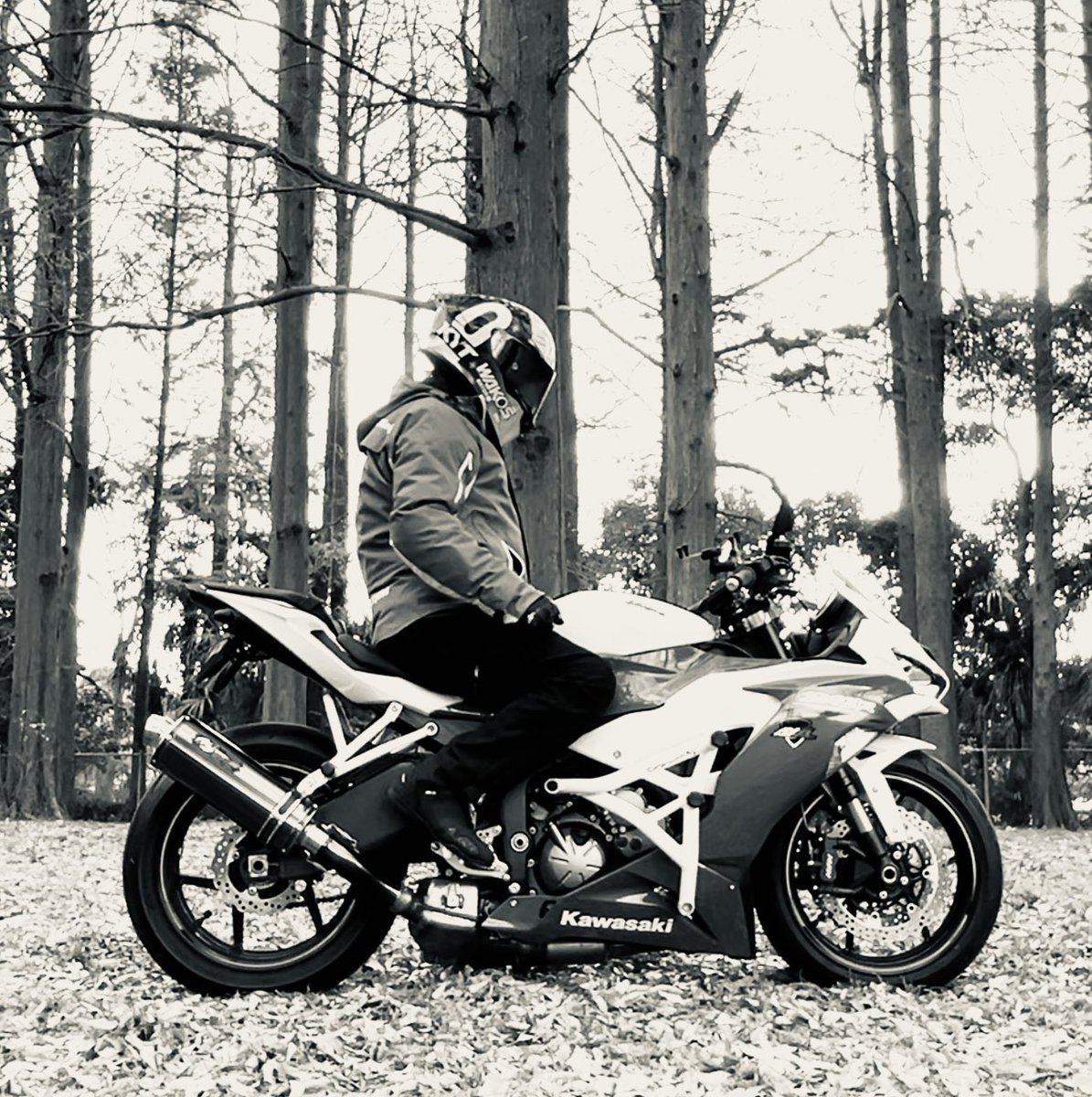 🌴タケシ🌴 (@TAKE_RIDER_) / Posts / X