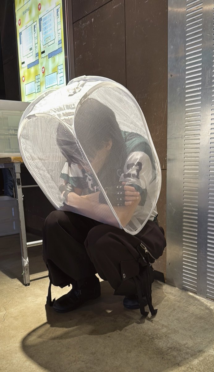 芝www健www🌱アナタシア👑www (@antsa_www) / Posts / X