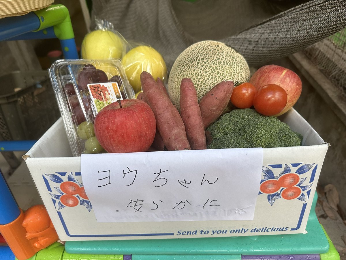 本日も献花台の写真が隠れるほど、たくさんの花束をいただきました。果物や野菜、温かいお手紙やイラストもありがとうございます。ヨウが多くの皆様に愛されていたと知り、とても嬉しいです。本当にありがとうございます。(アジア館担当)
#フランソワルトン #ヨウ
#ヨウちゃん