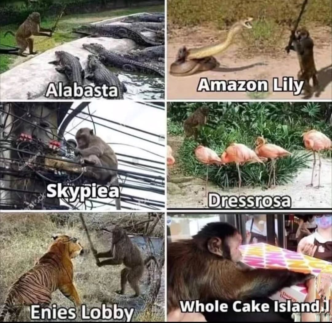 strawhats's tweet image. Anime: ONE PIECE