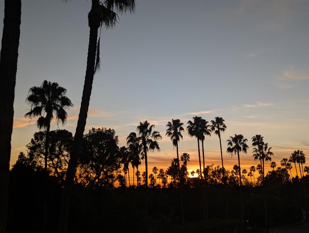 freshcruiser's tweet photo. Sunset Beverly Hills vibes #sunset #beverlyhills #beautyshots #palmtreeliving https://t.co/pItNEYJMrT