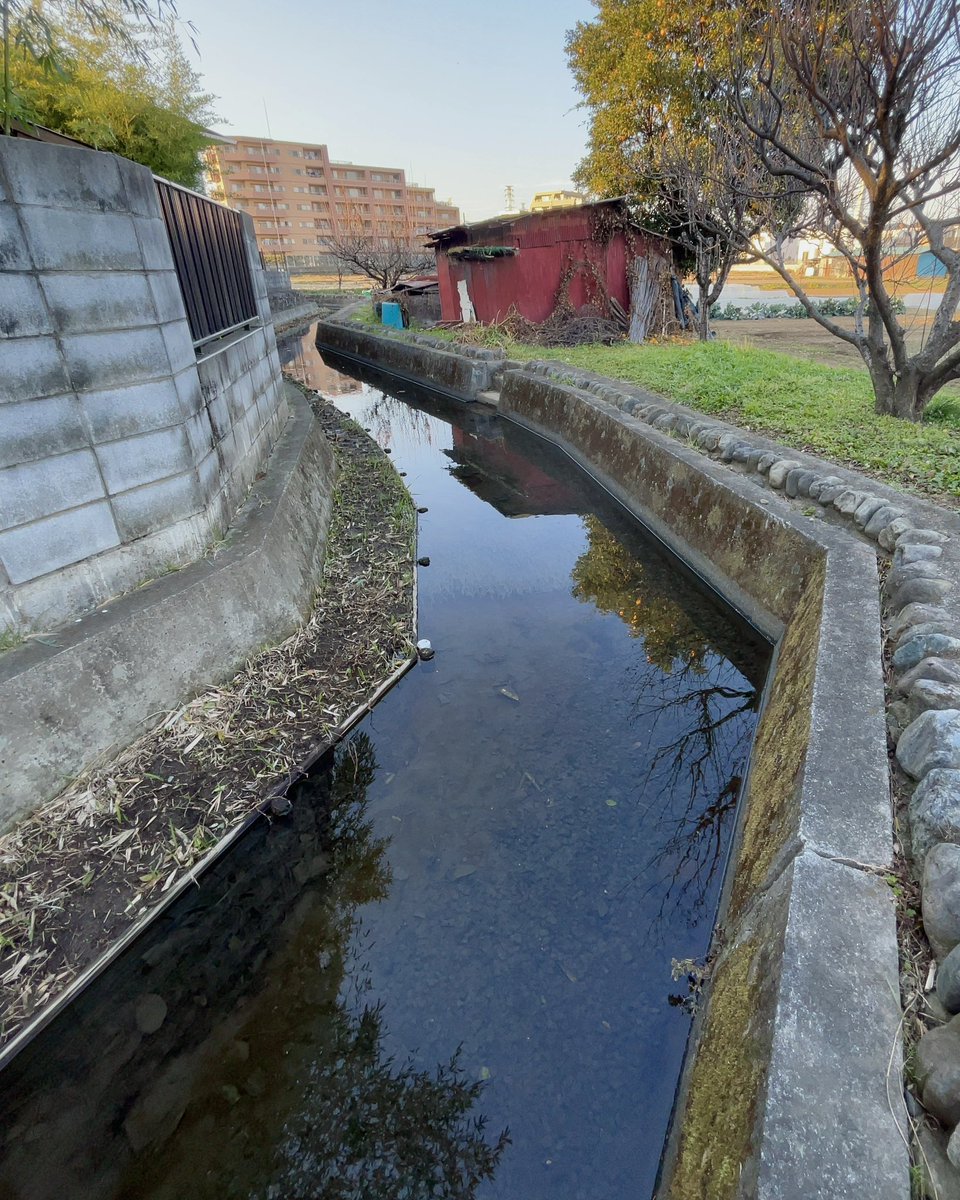 frog_frog's tweet image. 一の宮用水
〔多摩市〕