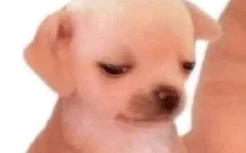 vincent69mty's tweet image. Pierde @Rayados 
Marketing: Sacaremos otra playera conmemorativa 🤣