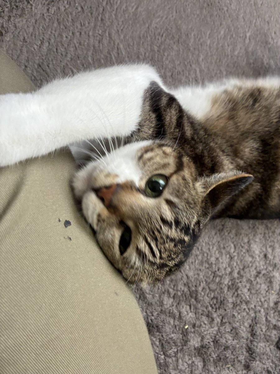 買い物から帰ってきたらこれだよ( 