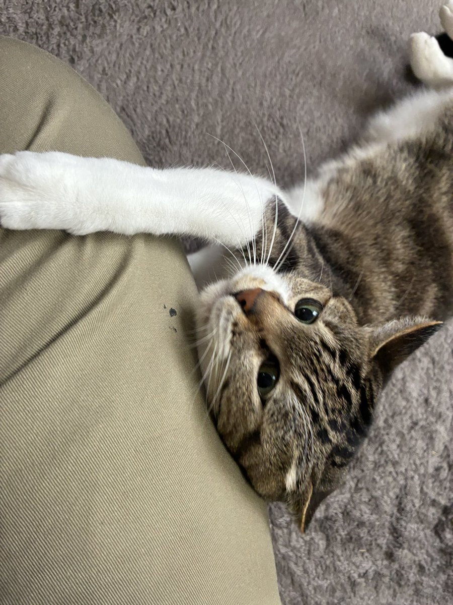 買い物から帰ってきたらこれだよ( 