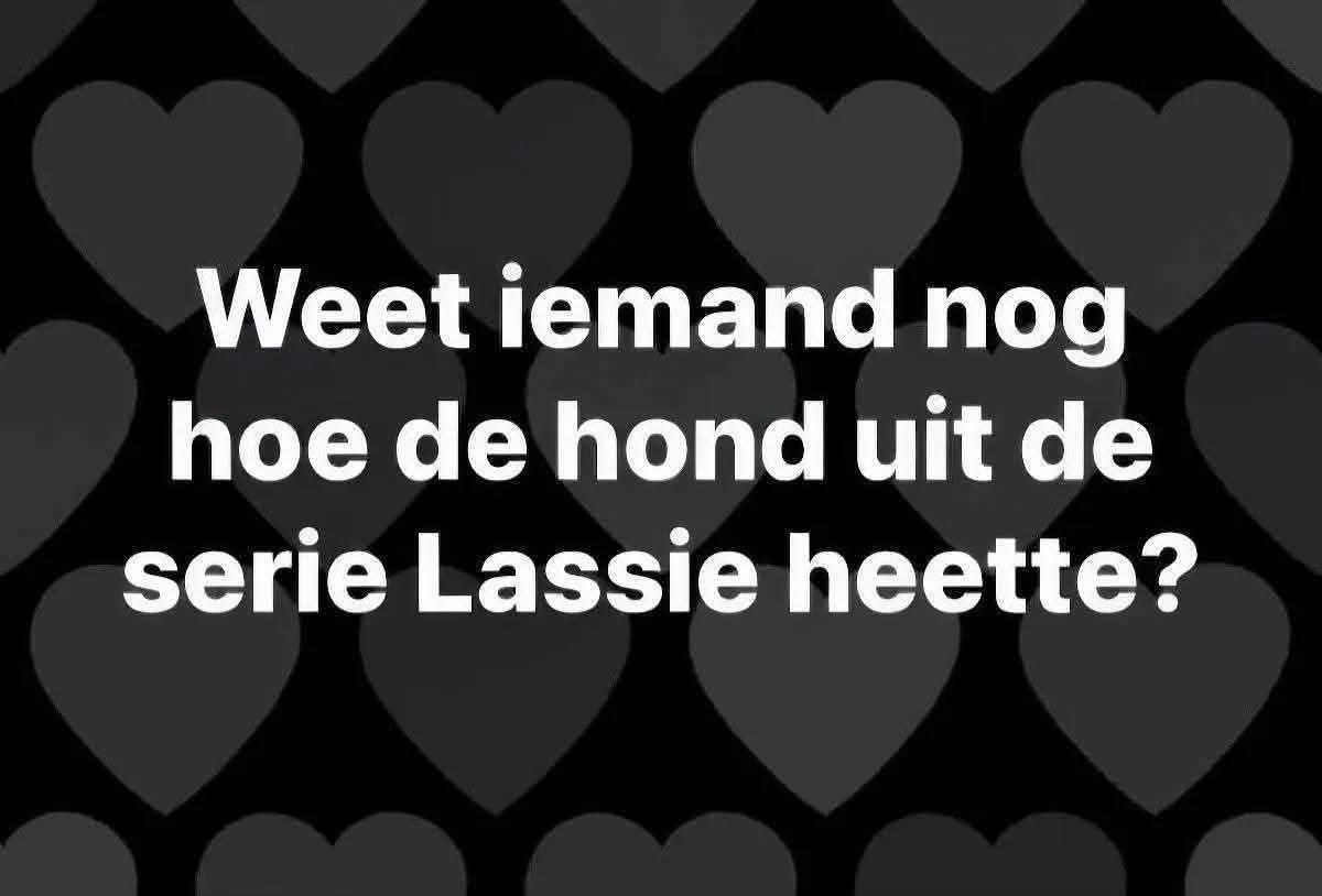 EvertOostdam™ (@evertoostdam) on Twitter photo 