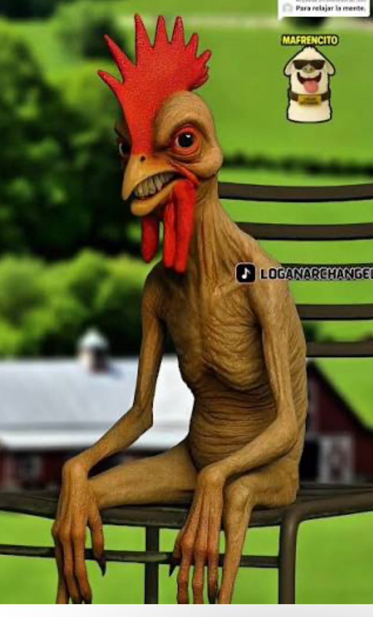 sergitony's tweet image. Acaban de revelar fotos de Maduro mientras cogia sol en el patio del centro de detención de Brooklyn.