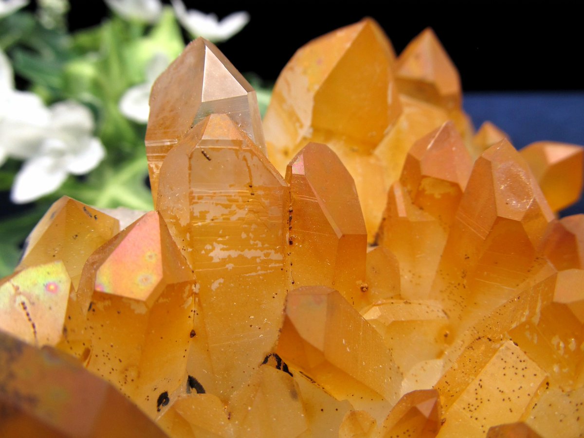 11日23:59までポイント2倍】ディープカラーで天然オーラフレイム