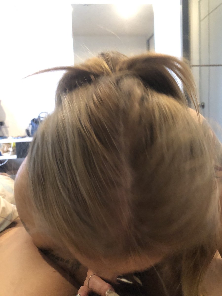 Zero to Hero tweet media