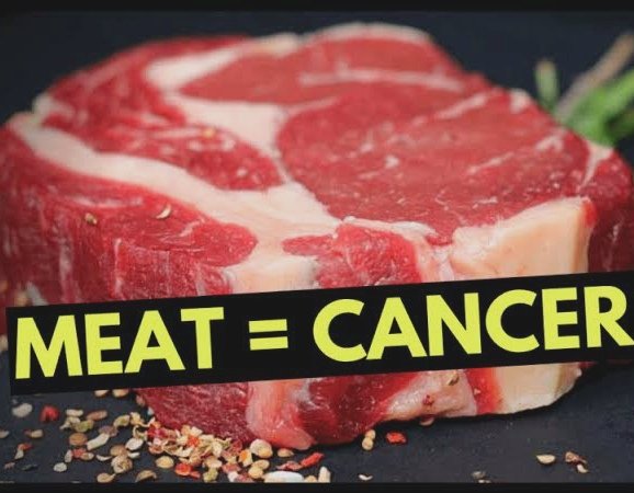 JustinTmplerSnr's tweet photo. How would you know, little Lucas, no one likes you ๐คฃ๐ฉ๐ฎ
#MEATFLAKEMADNESS
#MEATFLAKE
#MEAT #CARNIVORE #REGEN #CANCER https://t.co/LYt6GLkwBv