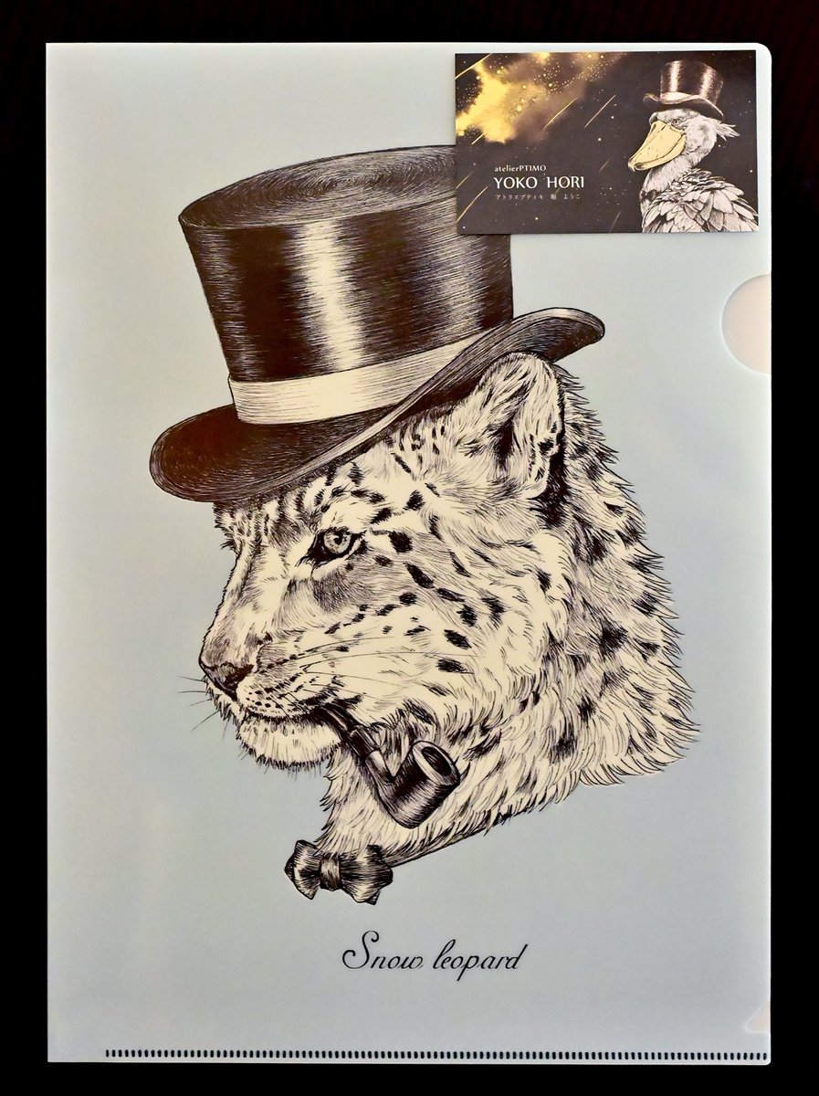 nekooyaji (@nanata35047722) / Posts / X