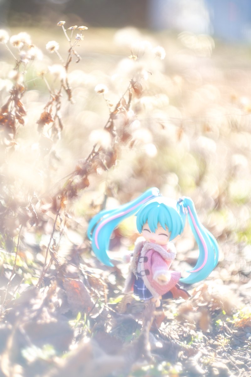 透き通る世界、とろけるような光に包まれて。

#ねんどろいどどーる #初音ミク