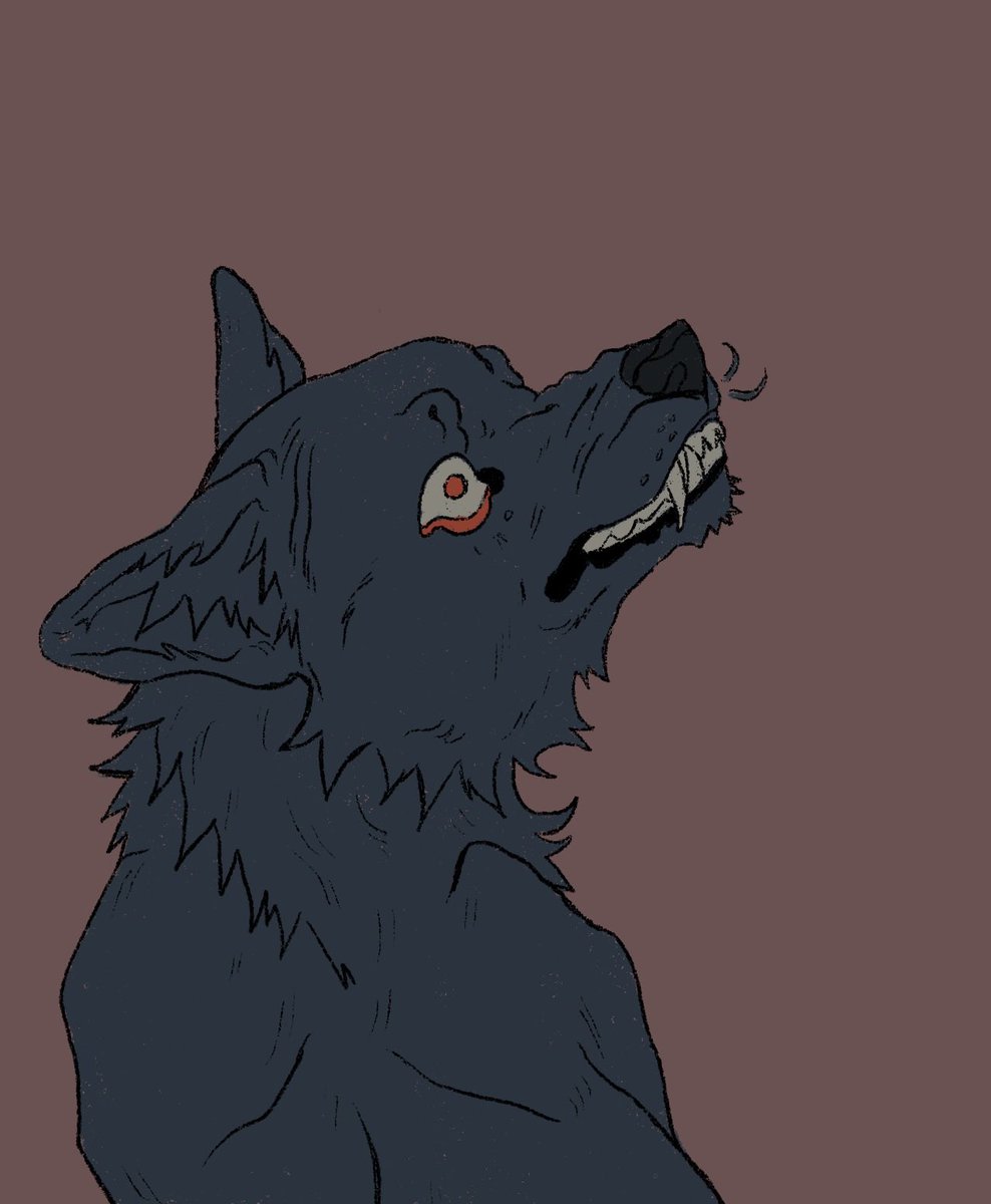 ✸Avery✸ tweet media