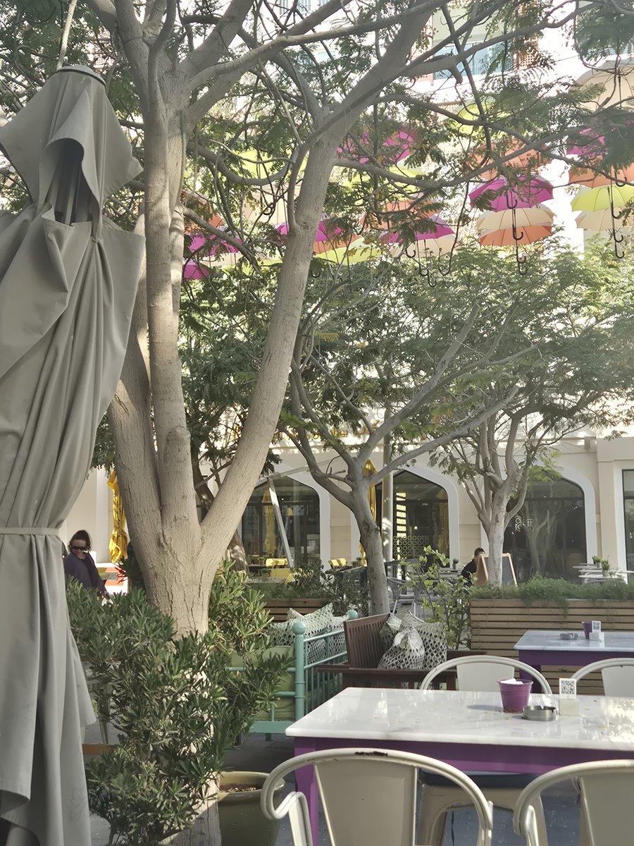 أصبحنا وأصبح الملك لله رب العالمين ,اللهم إني أسألك خير مافي هذا اليوم : فتحه , ونصره , ونوره , وبركته , وهداه وأعوذ بك من شر مافيه وشر ما بعده..