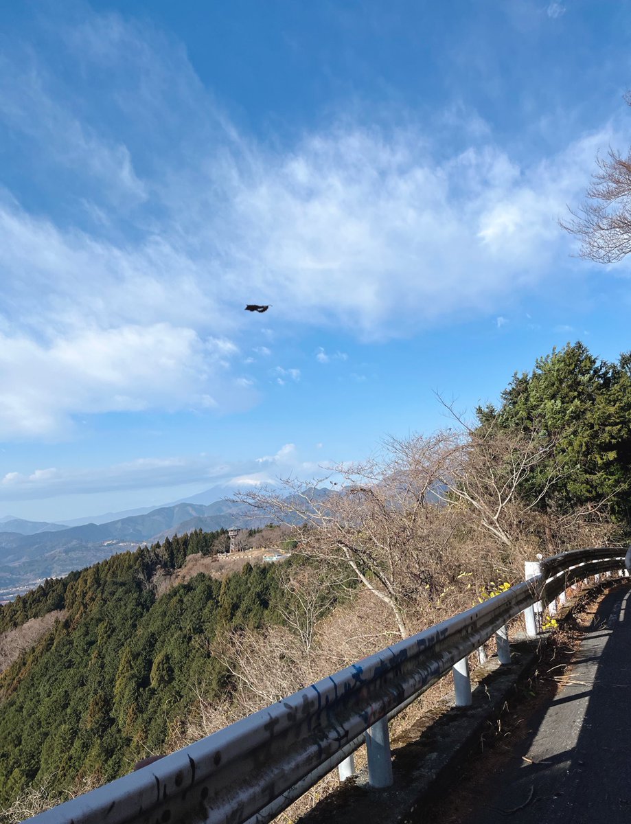 piro____kuru's tweet photo. 今日のラン🏃♀️➡️🏔️
坂道と風のキツさより、足が思う様に動かず終始キツイの一言。
足の筋肉が『限界でーす』と訴えてくるのをなんとか無視。止まらずテッペンまで行った自分を褒めよう。
丹沢シュークリーム程よい甘さ◎
サクサクうんまーい👍
#ランニング #hyperion3 https://t.co/62Jn3DXRH5