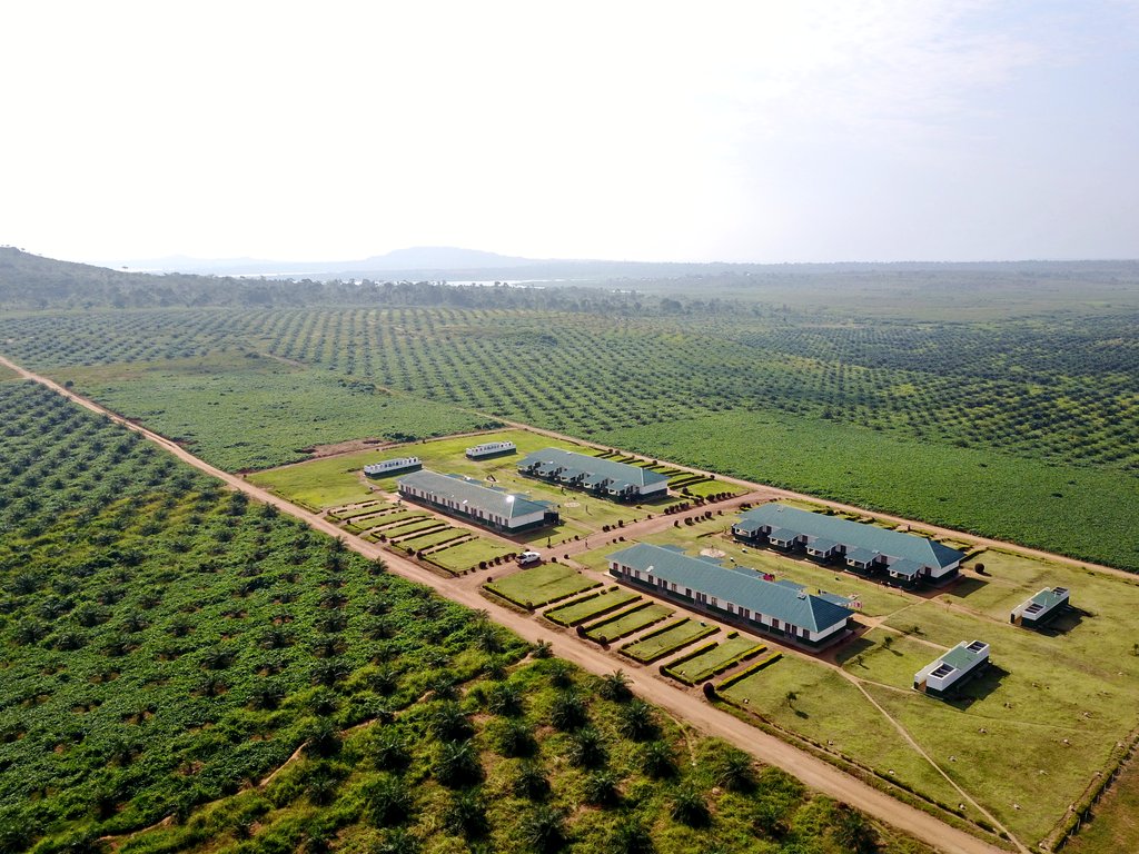 MAAIF_Uganda's tweet photo. Oil palm sub-sector: The Ministry of Agriculture, Animal Industry and Fisheries has provided  detailed schedules for compensation of @NOPP_UG Project Affected Persons (PAPs) in Buvuma.

Details and lists in full press release accessible via this link  
🔗https://t.co/RCHm7pa1mG https://t.co/liIYnFAUvr