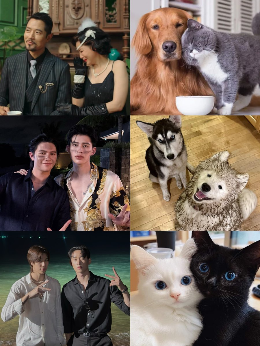 iceforsnowy's tweet image. นี่สินะ ตระกูลลีแล้วก็สะใภ้ตระกูลลี 55555555555

#MeAndTheeSeriesEP9