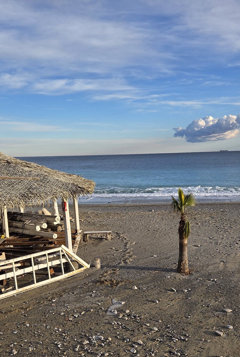 CappatoSimo's tweet image. Buongiorno, felice e splendida Domenica a tutti.😉☕️🍰🪻🐞🌼🍀🌷