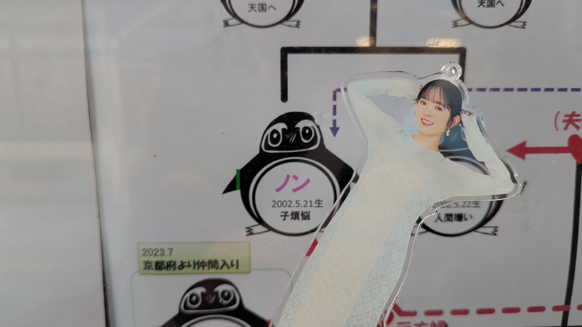 のんちゃん！？！？