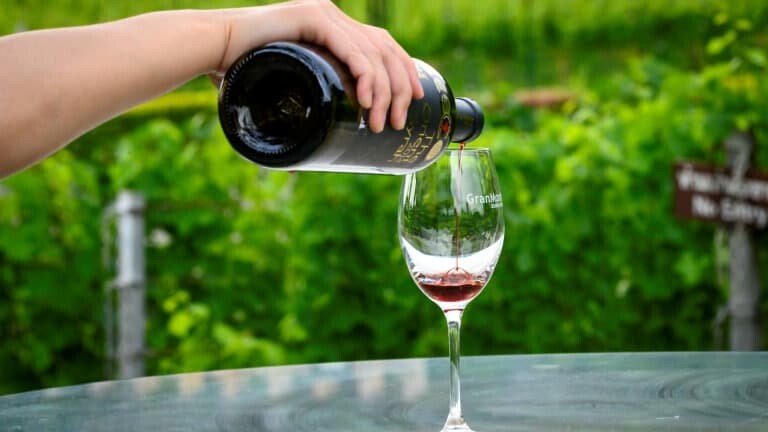 BFMTV's tweet image. La modération d’alcool plutôt que l'abstinence? Le French January veut concurrencer Dry January, mais écœure les addictologues l.bfmtv.com/zwHY